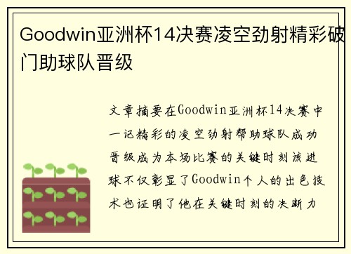 Goodwin亚洲杯14决赛凌空劲射精彩破门助球队晋级