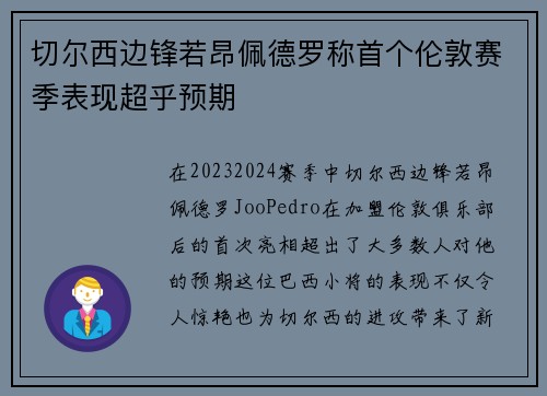切尔西边锋若昂佩德罗称首个伦敦赛季表现超乎预期 切尔西边锋若昂佩德罗称首个伦敦赛季表现超乎预期